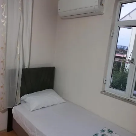 Adventurous Local فتحية