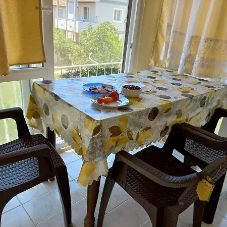 Adventurous Local فتحية