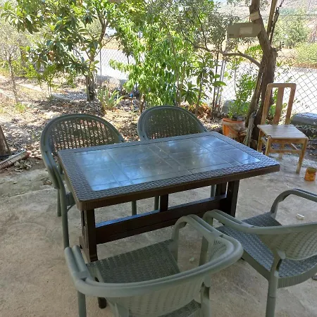 Adventurous Local * فتحية