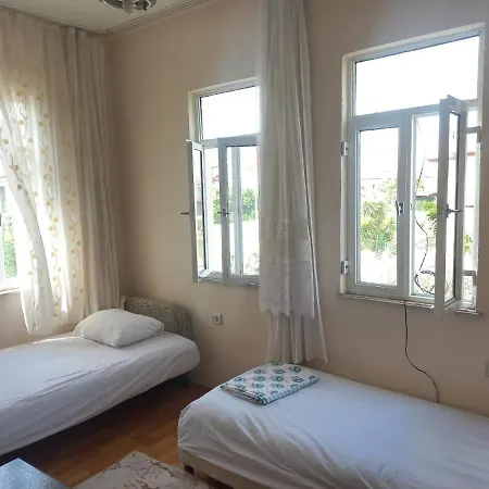 Adventurous Local * فتحية