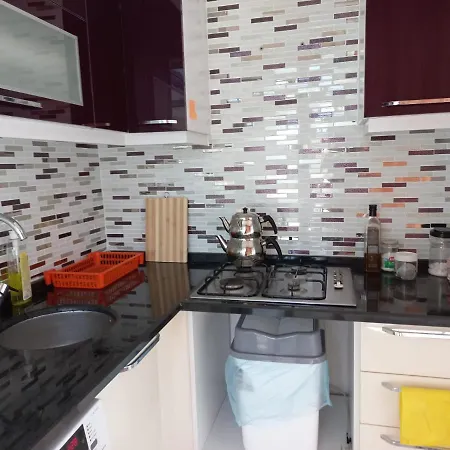 Adventurous Local بيت شباب *