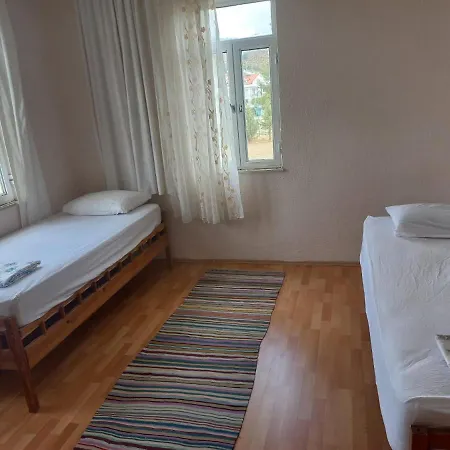 Adventurous Local * فتحية