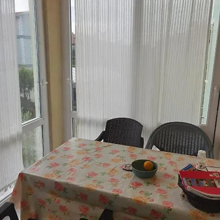 Adventurous Local بيت شباب