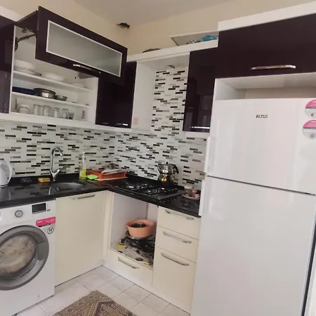 Adventurous Local بيت شباب *