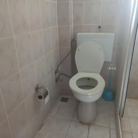 Adventurous Local Φετιγιέ