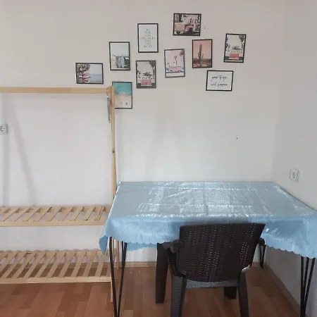 Hostal Adventurous Local