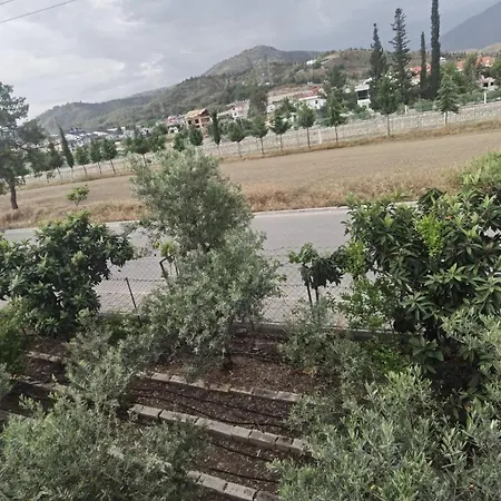 Adventurous Local Vandrerhjem