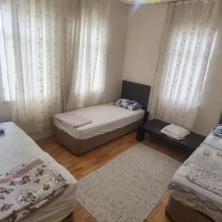 Adventurous Local Φετιγιέ