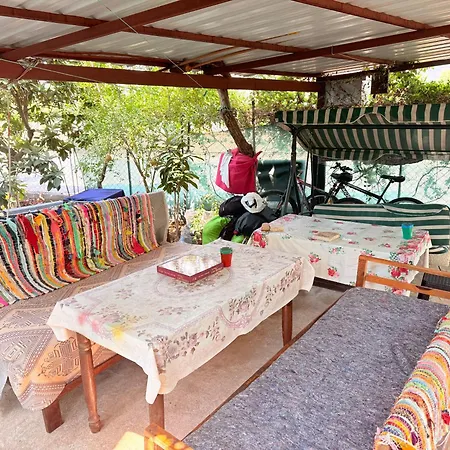 Adventurous Local * Fethiye