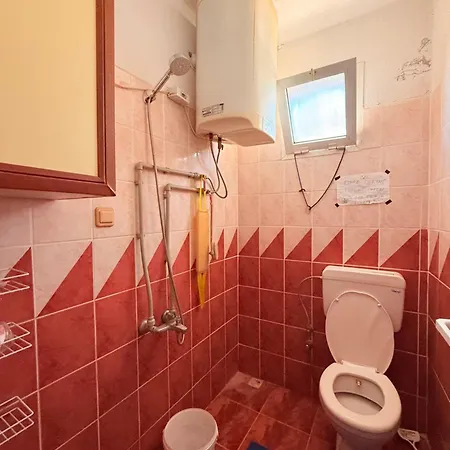 Adventurous Local Hostel